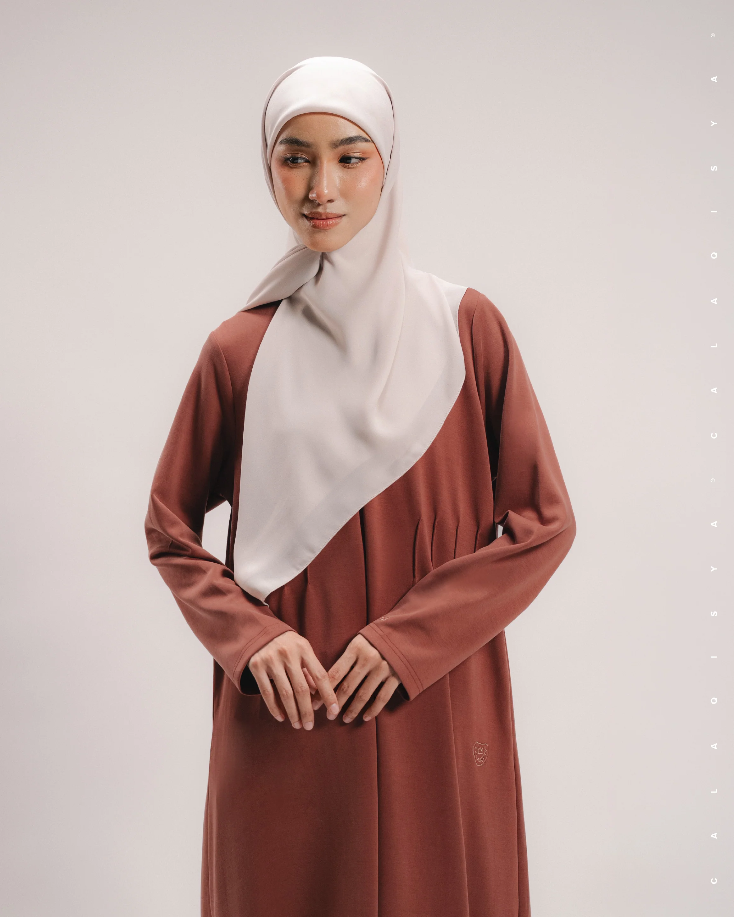 RUSH DOVE PINTUCK DRESS IN ROASTED RUSSET - Image 3